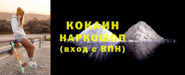 дживик Краснослободск