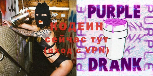 дживик Краснослободск