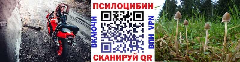Галлюциногенные грибы MAGIC MUSHROOMS  Кувшиново 